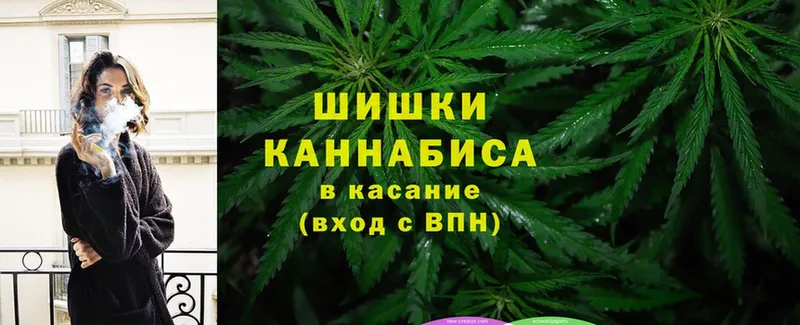 Канабис Amnesia  как найти   Зима 